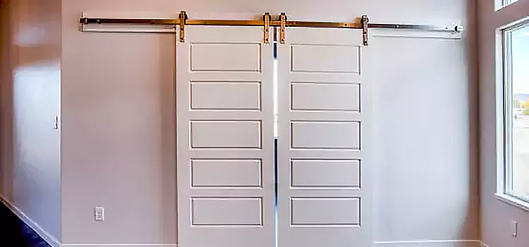 Glass Barn Door with Installation Hardware Kit Rosemead